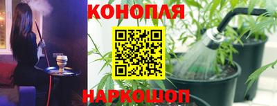 стаф Нарткала