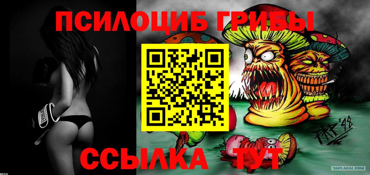 Семёнов  Псилоцибиновые грибы Psilocybe  Вход с VPN  Псилоцибиновые грибы мицелий 